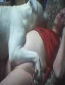 9aa7773.com - Mulheres transando com animais